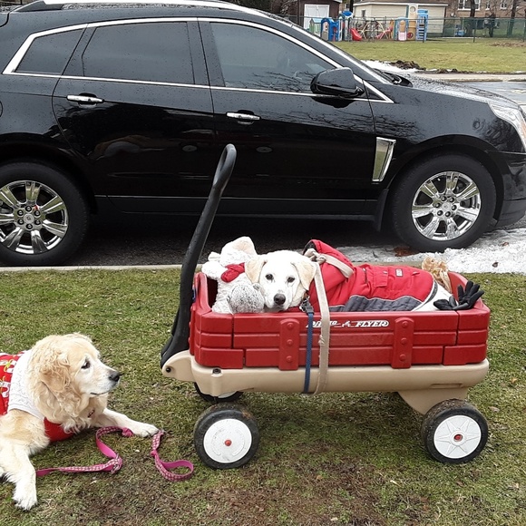 Meet your Posher, Leslie - Picture 6 of 8